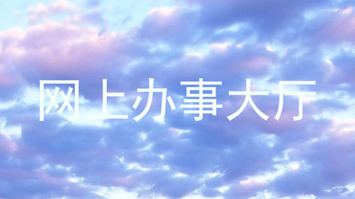网上办事大厅