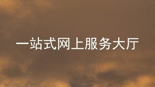 一站式网上服务大厅