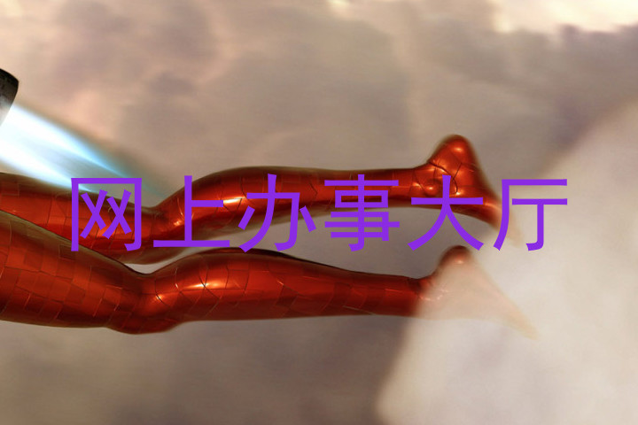 网上办事大厅