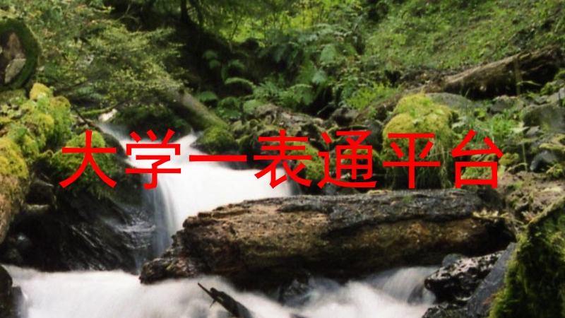 大学一表通平台