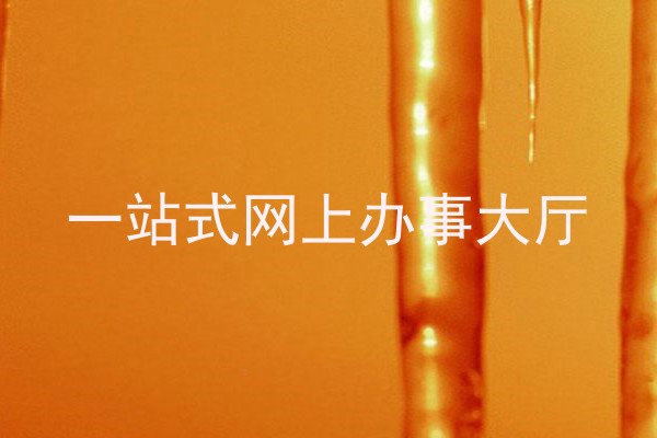 一站式网上办事大厅