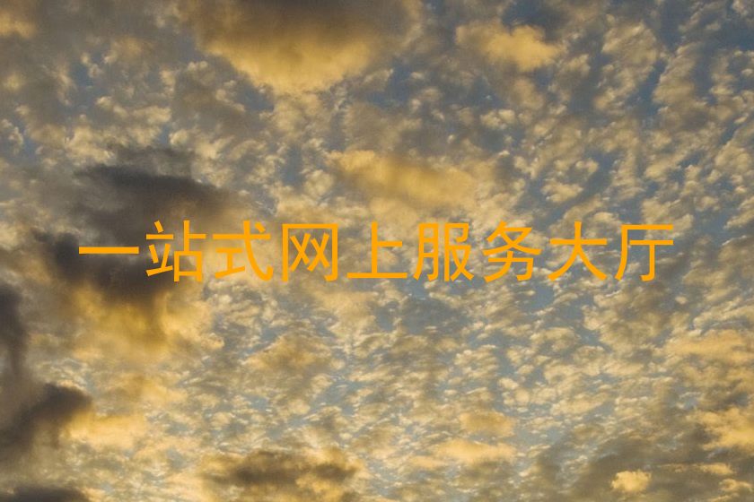 一站式网上服务大厅