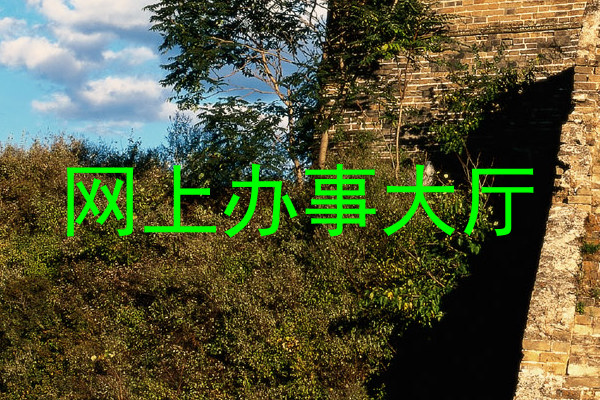 网上办事大厅