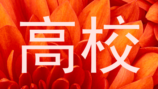 高校