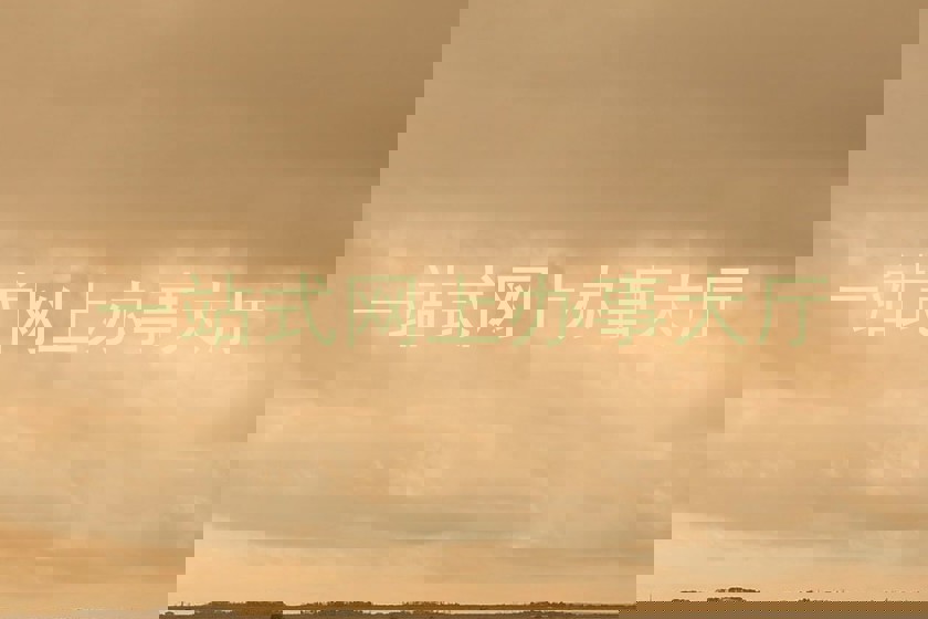 网上办事大厅