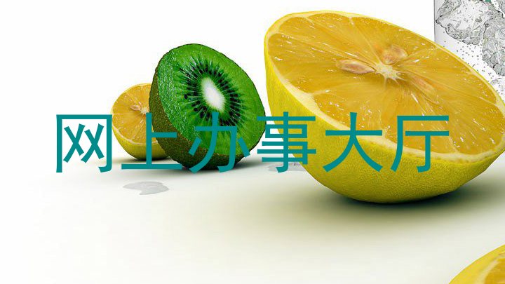 网上办事大厅