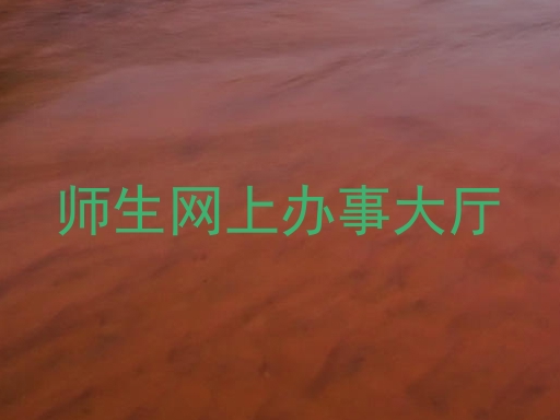 师生网上办事大厅