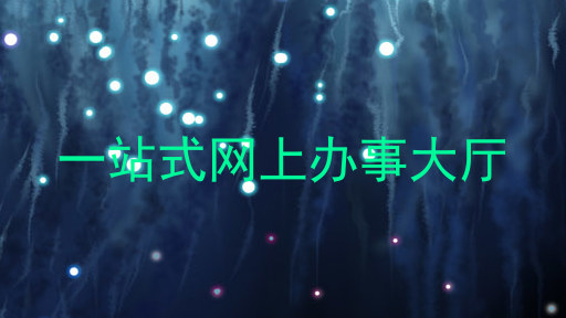 一站式网上服务大厅