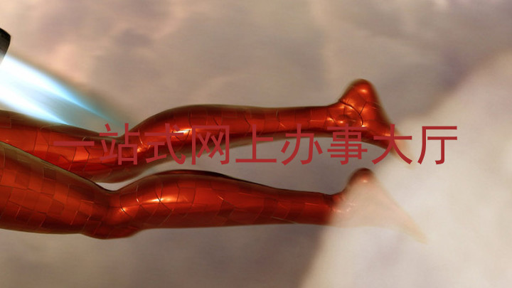 一站式网上办事大厅