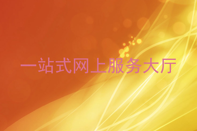 一站式网上服务大厅