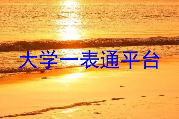 大学一表通平台