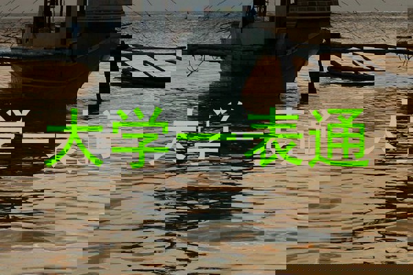 大学一表通