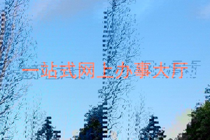 一站式网上办事大厅