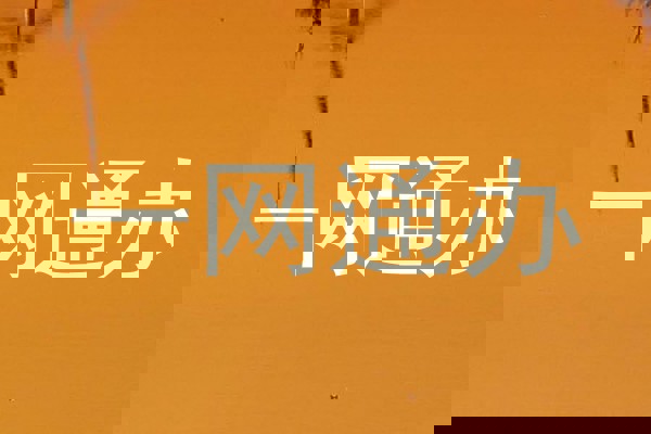 一网通办