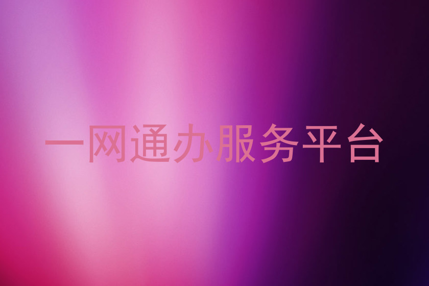 一网通办服务平台