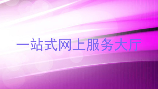 一站式网上服务大厅