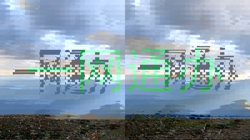 一网通办