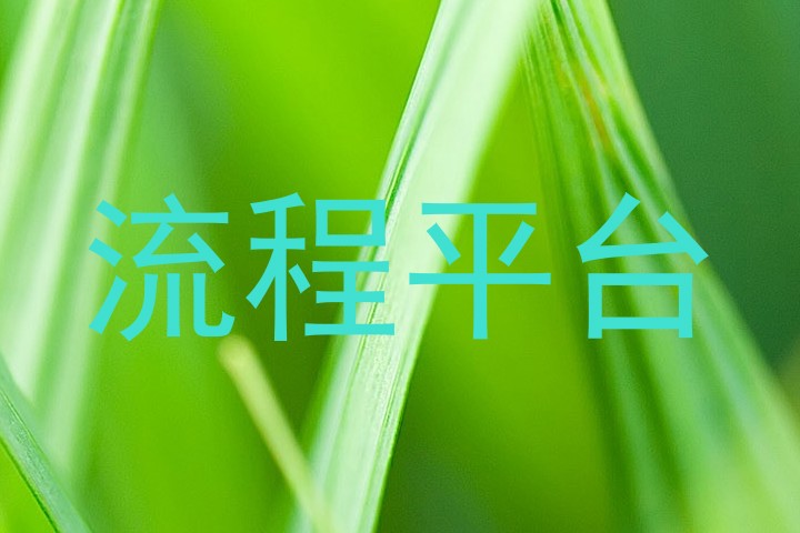 流程平台