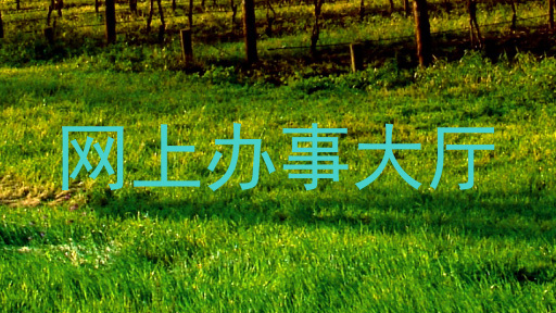 网上办事大厅