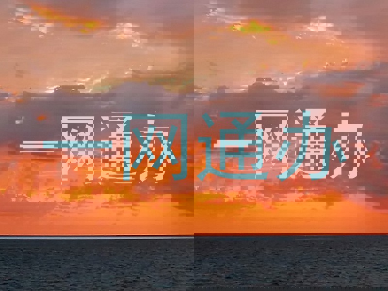 一网通办