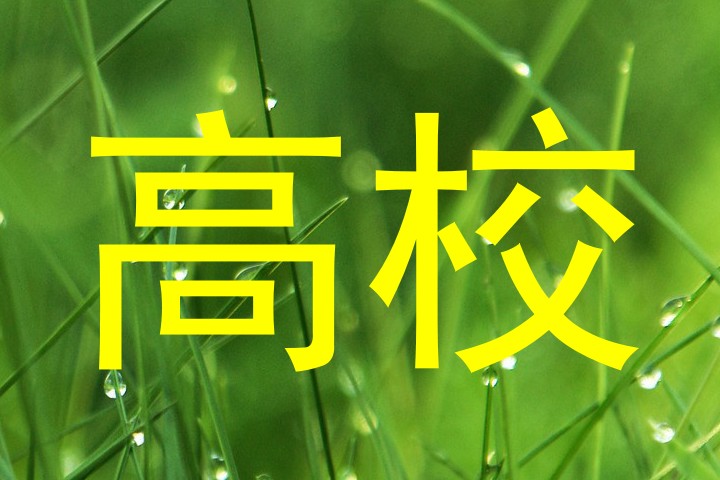 高校