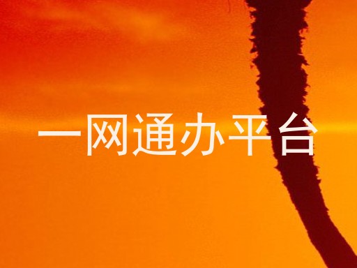 一网通办