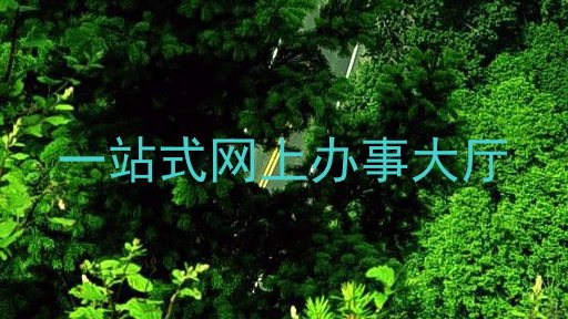 一站式网上办事大厅