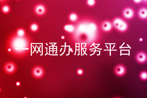 一网通办服务平台