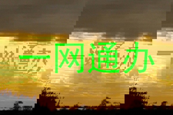 一网通办