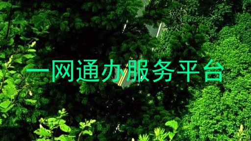 一网通办服务平台