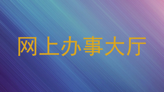 网上办事大厅