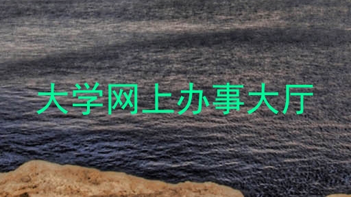 大学网上办事大厅