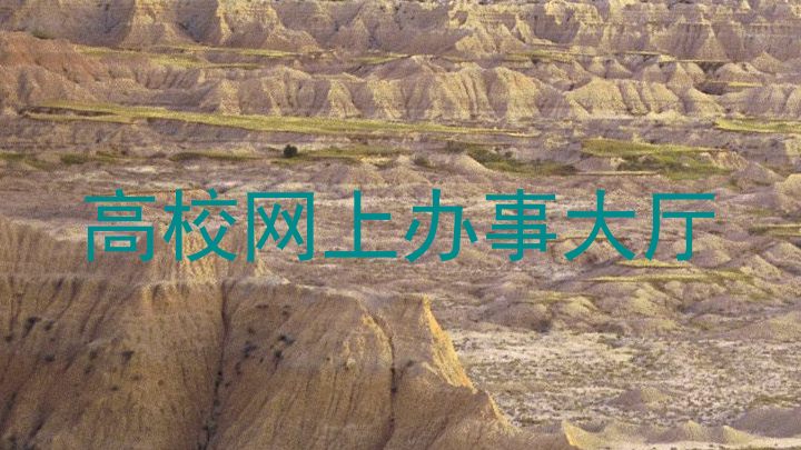 高校网上办事大厅