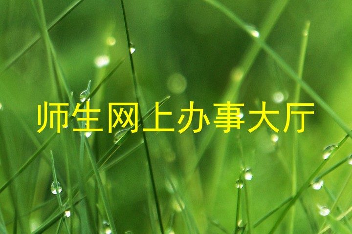 师生网上办事大厅