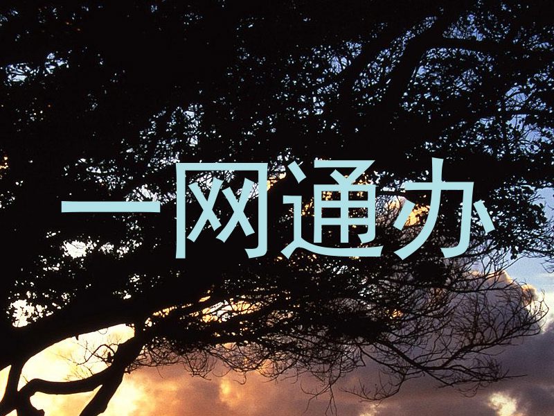 一网通办