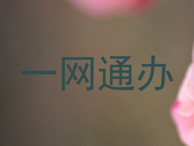 一网通办