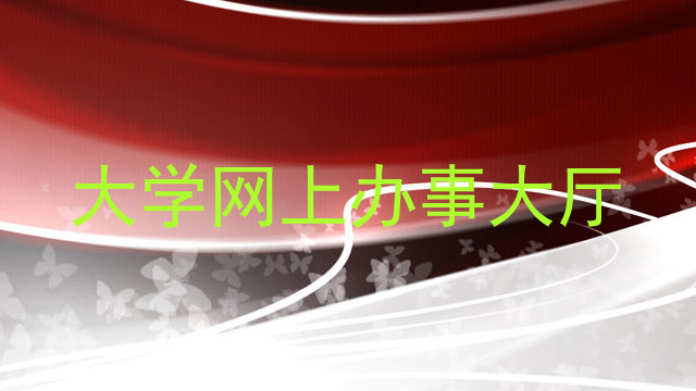 大学网上办事大厅