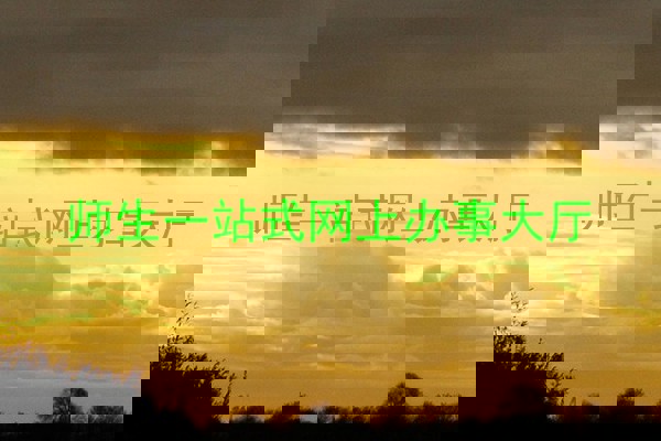 师生一站式网上办事大厅