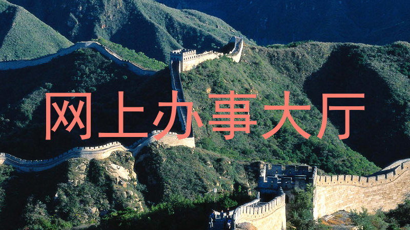 网上办事大厅