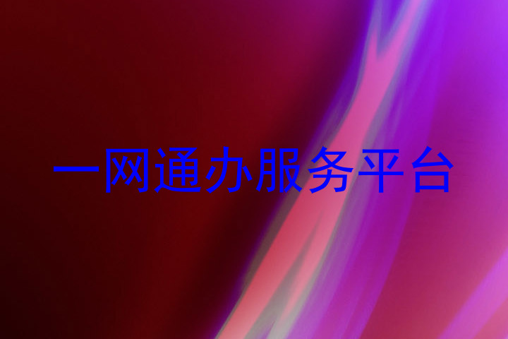 一网通办服务平台