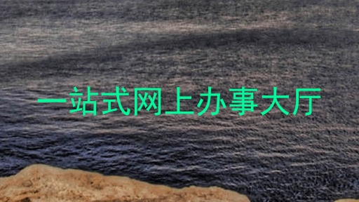 一站式网上办事大厅