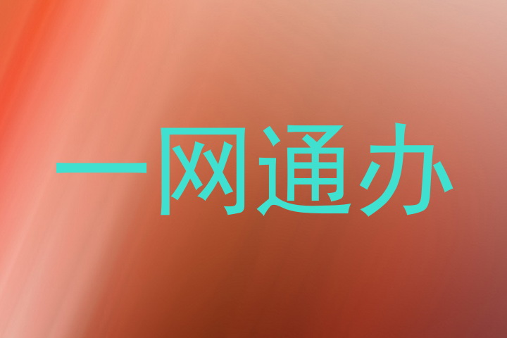 一网通办