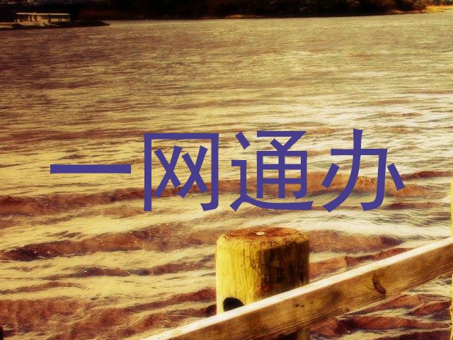 一网通办