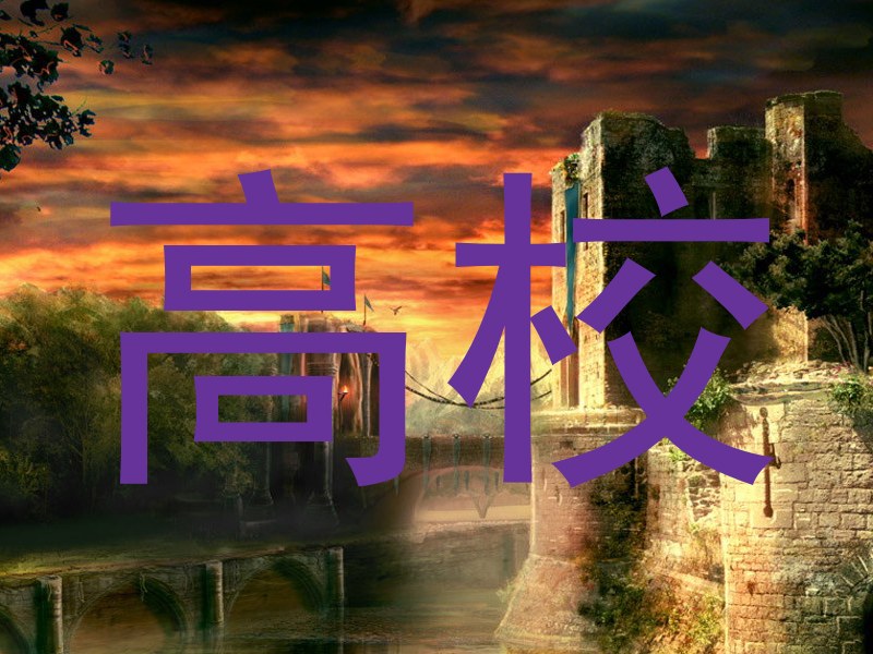 高校