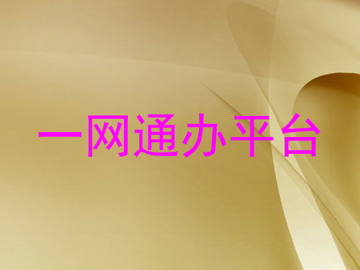 一网通办服务平台
