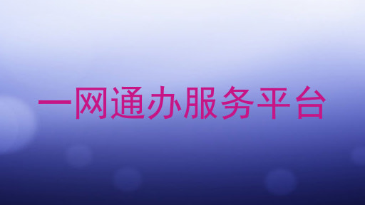 一网通办服务平台