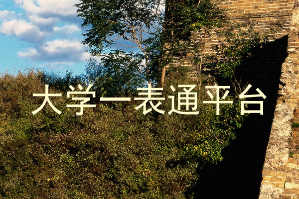 大学一表通平台