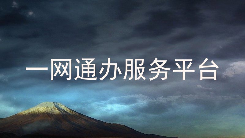 一网通办服务平台