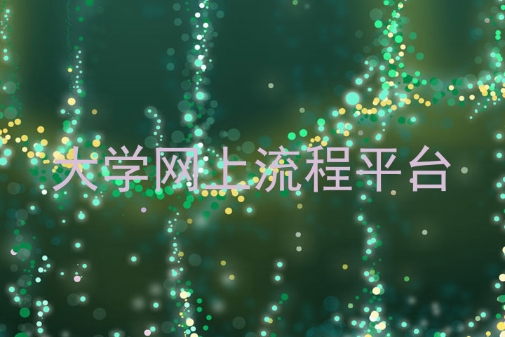 大学网上流程平台