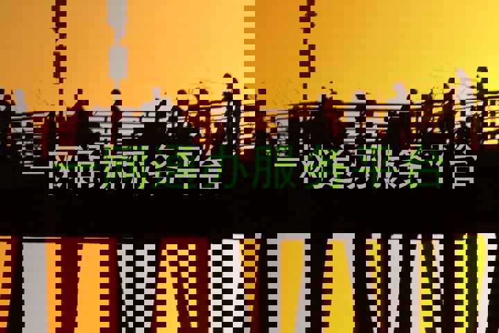 一网通办服务平台